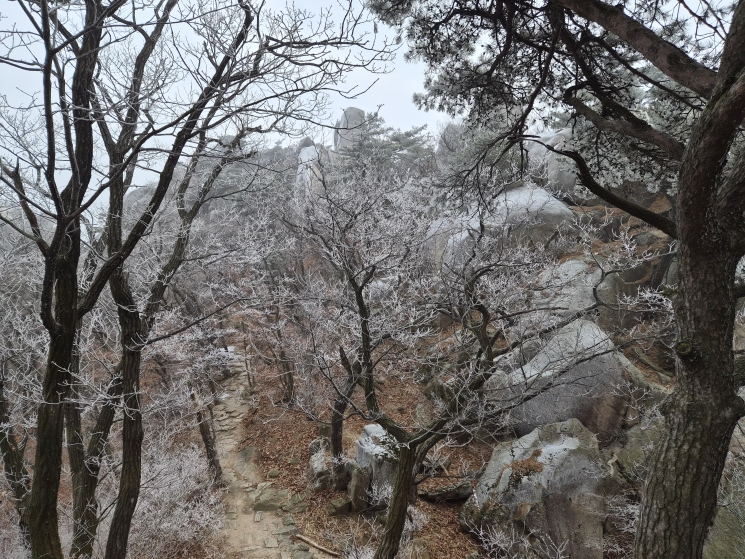 KakaoTalk_20251228_174929568_01 (1).jpg